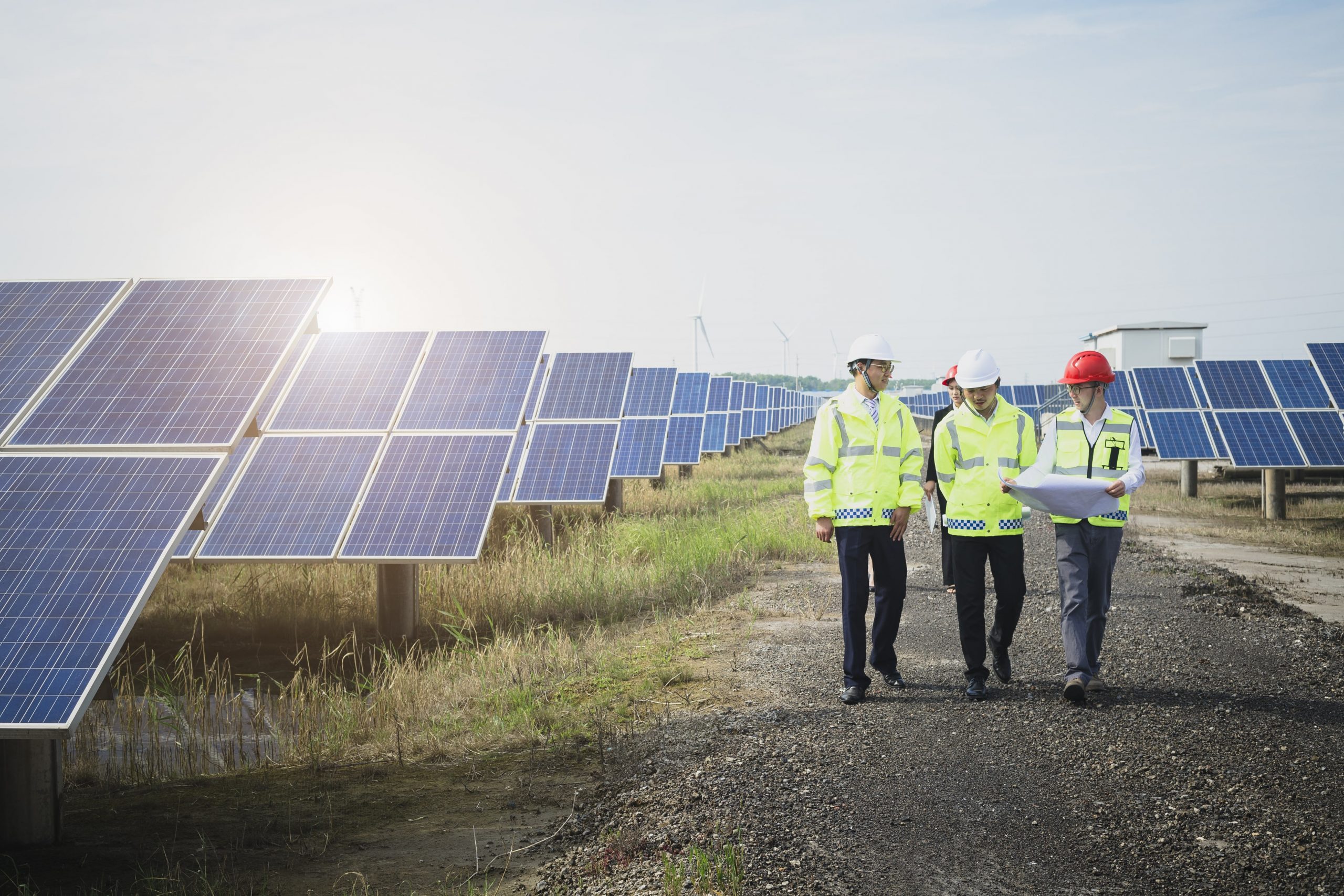 solar panel fields