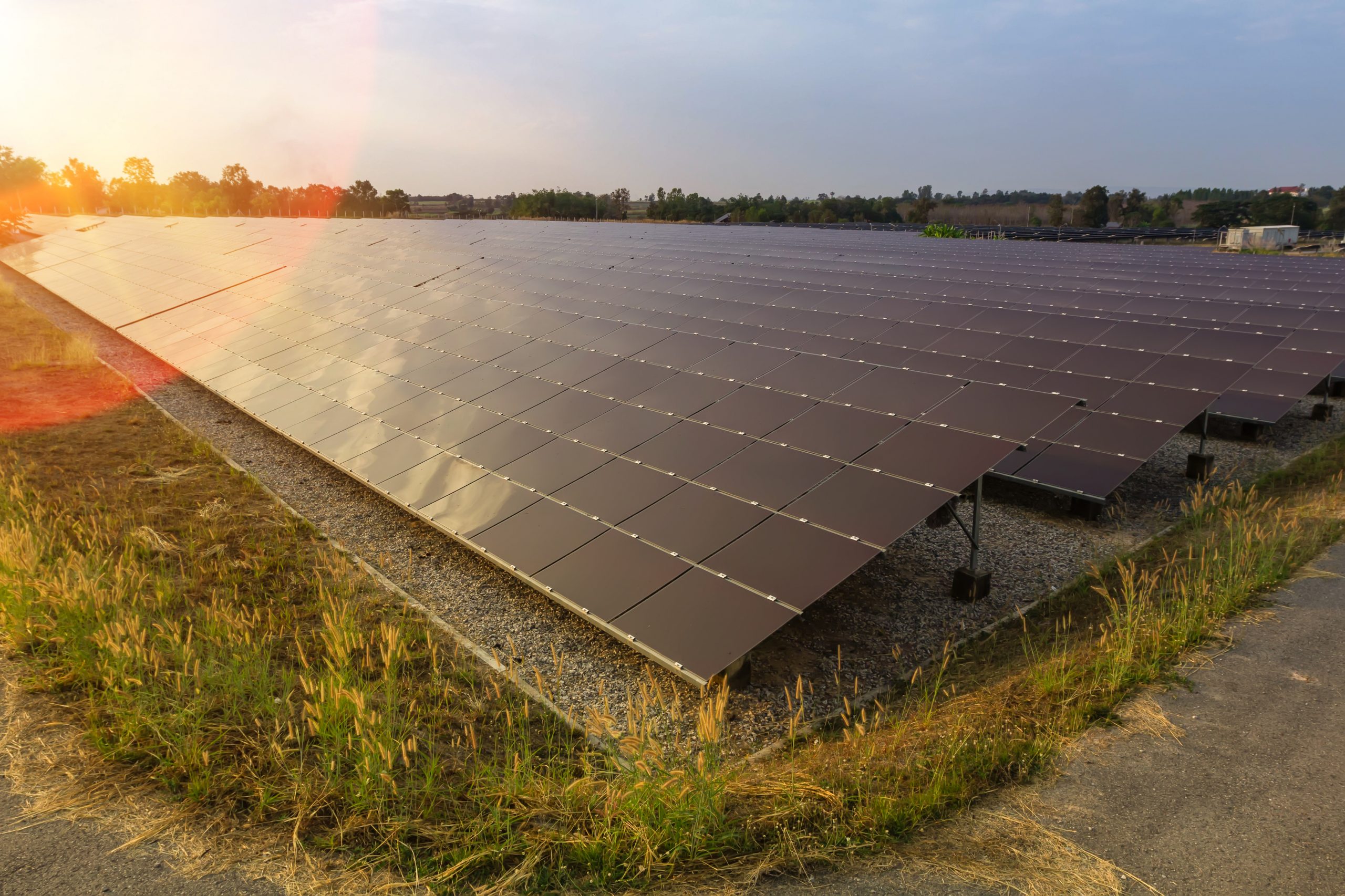 solar panels installed in a field