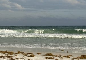 ocean and beach