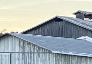 barns