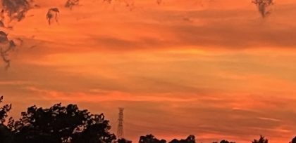 utility lines at dusk