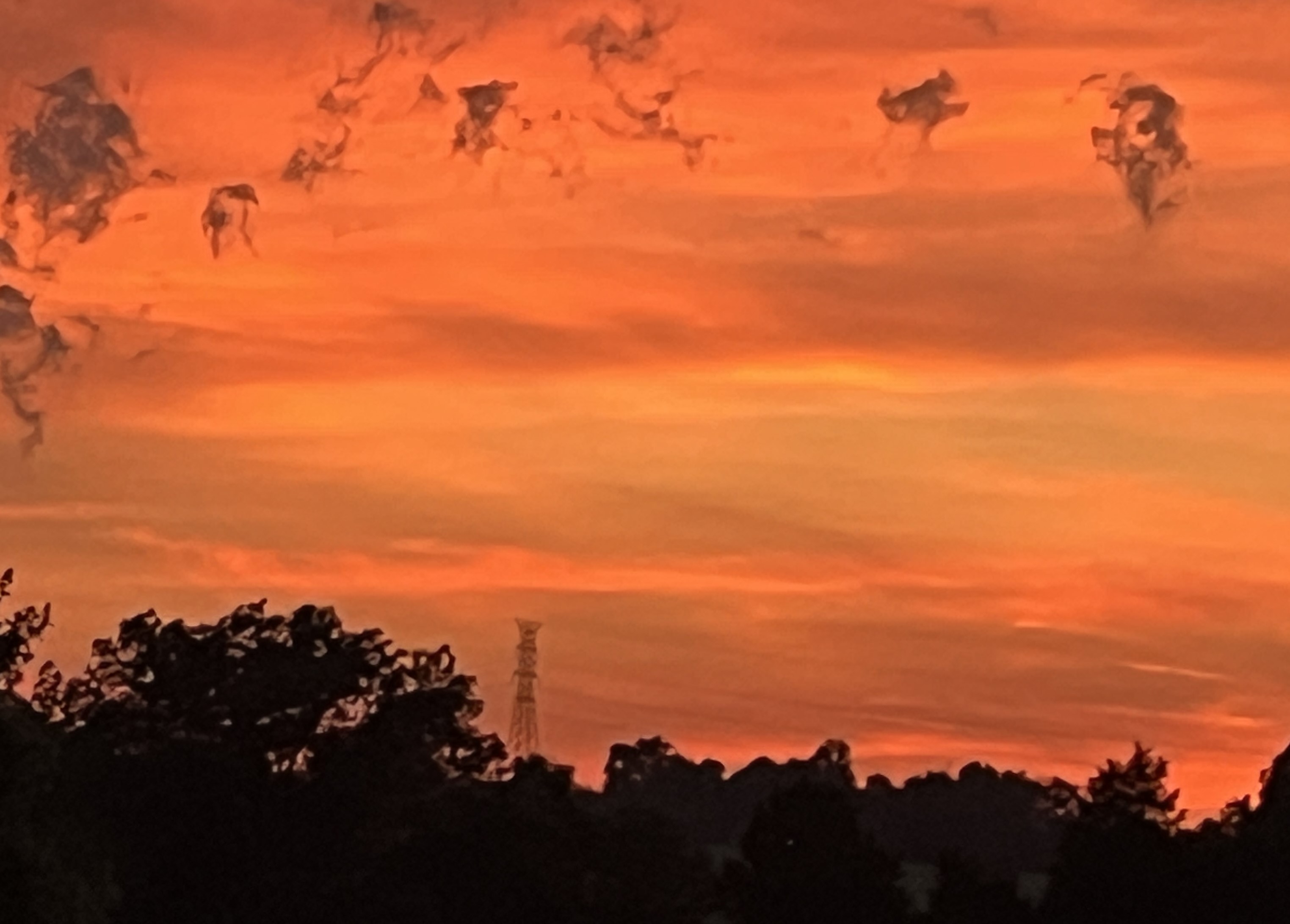 utility lines at dusk