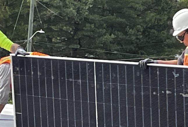 carrying panel